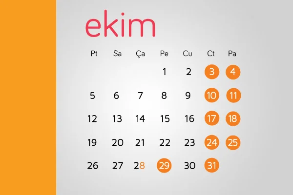29 Ekim için tatil kararı açıklandı