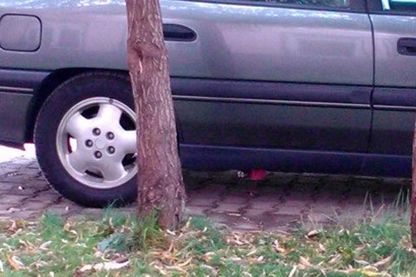 Kaymakama bombalı tuzak