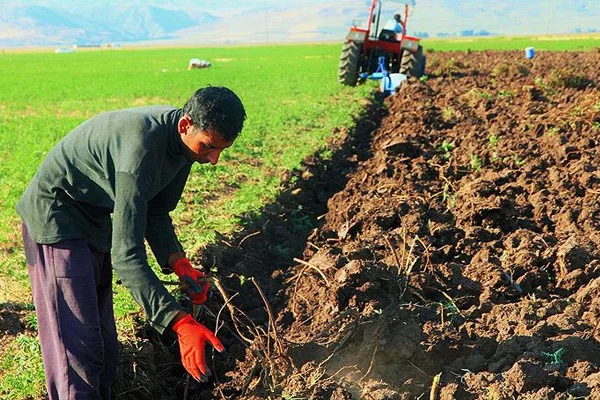Suriyeli öğretmenin öğrenci hasreti