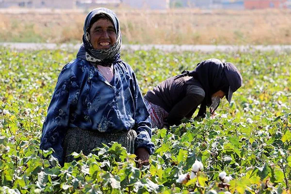 Tarımsal üretimin fedakar kadınları