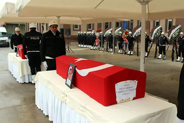 Japon balığı ters yüzerse