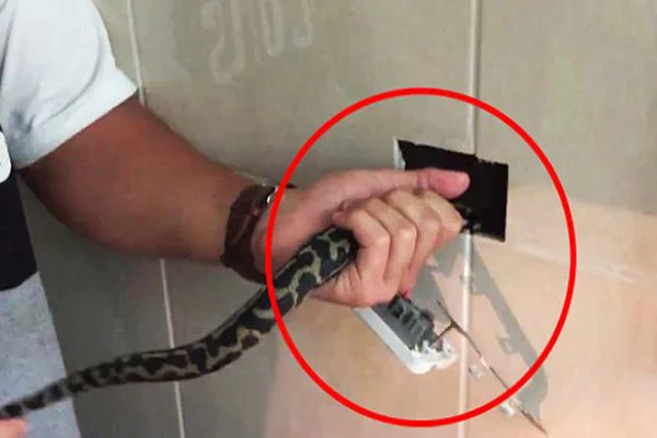 Öğretim görevlisinin evi cephanelik gibi