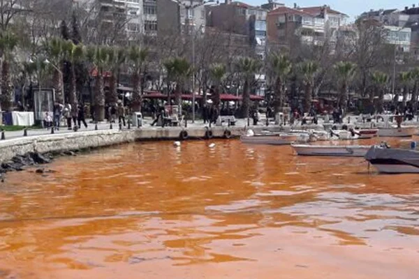 Şiir günü yarın kutlanacak!