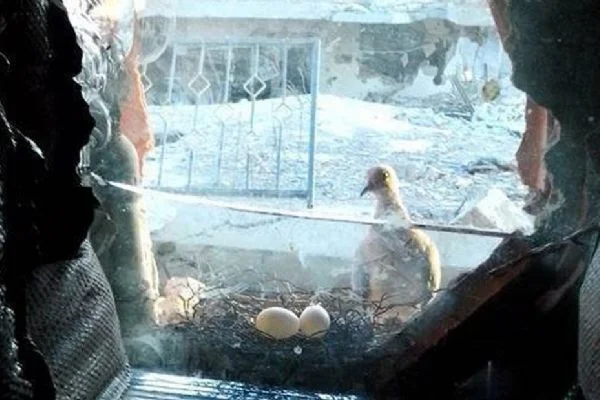 "Butik yayınevleri tarih olmasın"