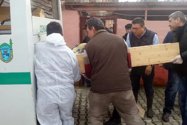 'Miyonlarca çocuk cinsel istismara uğramış olabilir'