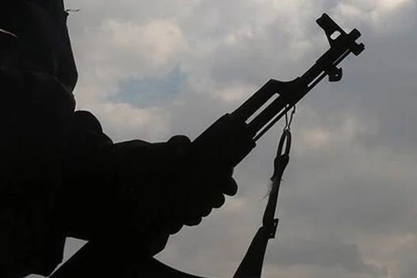 Şırnak'ta beş PKK'lı teslim oldu