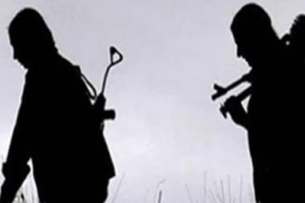 Bitlis'te 1 PKK'lı etkisiz hale getirildi
