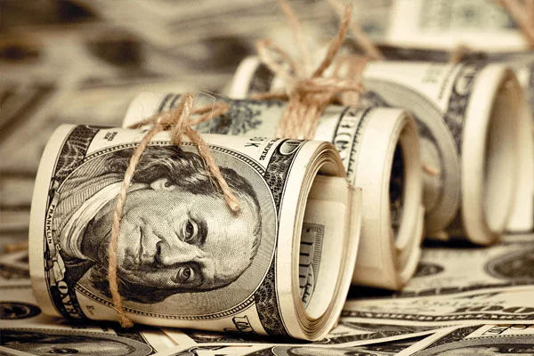 Hükümetten kritik dolar açıklaması