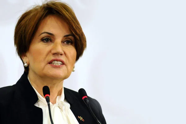 Meral Akşener'e Vatan Partisi'nden davet