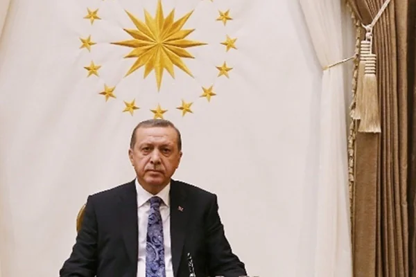 Cumhurbaşkanı Erdoğan, Carl Bildt'i kabul etti