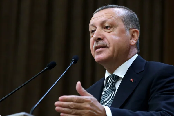 Erdoğan'ın 6 aylık yol haritasında öncelik 7 sektörde