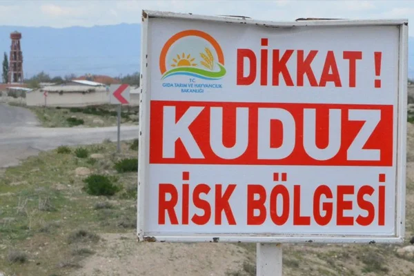 Konya'da kuduz paniği