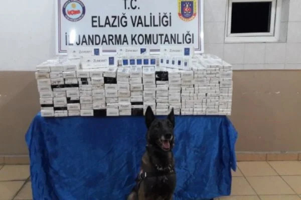 5 bin paket kaçak sigara ele geçirildi