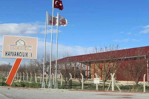 Konya'da 'sütbank' soruşturması başlatıldı