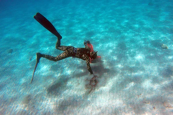 Muğla'da temiz deniz dalgıçları sevindirdi