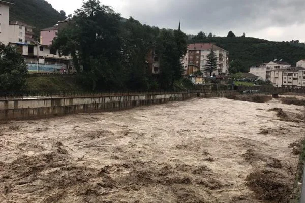 'Selin İkizce'ye verdiği zarar 10 milyon lira'