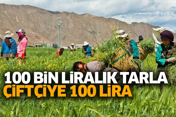 100 bin liralık tarla çiftçiye 100 lira