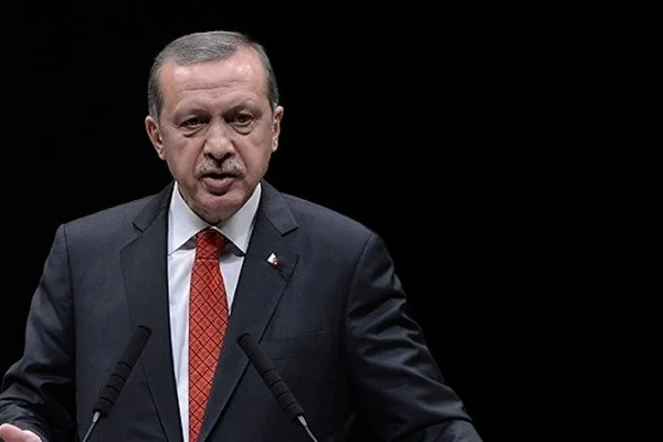 Erdoğan'dan Almanya'da Steinmeier'e tepki