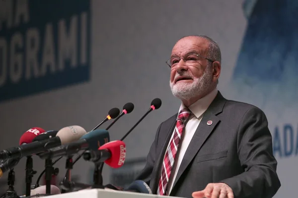 Karamollaoğlu'ndan hükümete McKinsey çıkışı