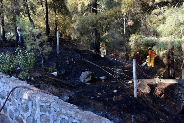 Marmaris'de korkutan yangını