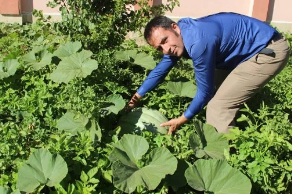Okulun bahçesinde yetiştirdikleri ürünler okula ek gelir sağladı