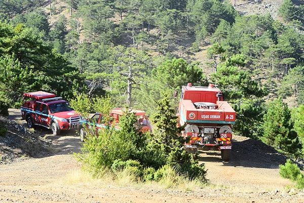 Uşak'taki orman yangınları söndürüldü