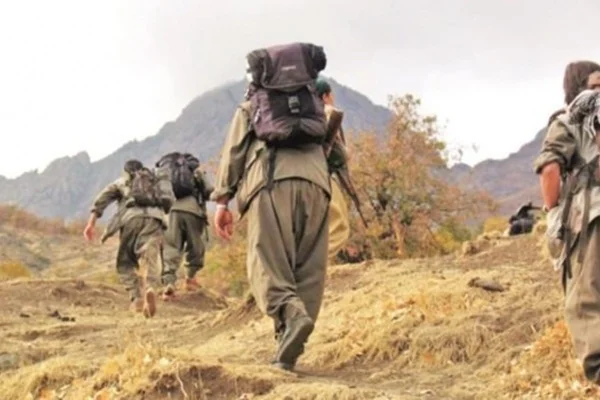 2 PKK'lı teslim oldu