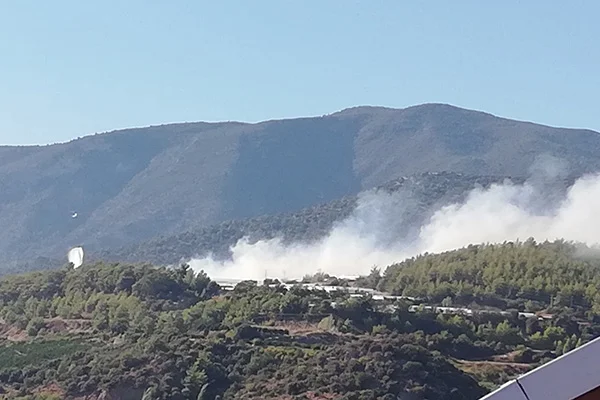 Antalya'da iki ayrı orman yangını