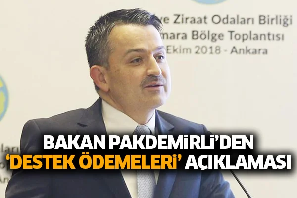Bakan Pakdemirli'den 'destek ödemeleri' açıklaması