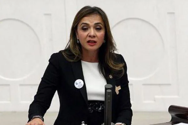 CHP'li Akkuş İlgezdi: 'Elbirliği ile sağlıkta şiddetin önüne geçelim'