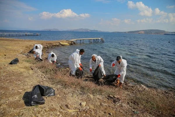 Foça'da denize sızan akaryakıt temizlendi