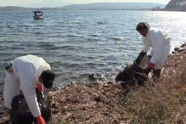 Foça'da tanker gemisinden denize sızan akaryakıt temizlendi