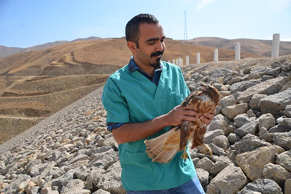 Hakkari'de yaralı bulunan şahin ile baykuşa müdahale