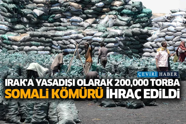 Irak'a yasadışı olarak 200,000 torba Somali kömürü ihraç edildi