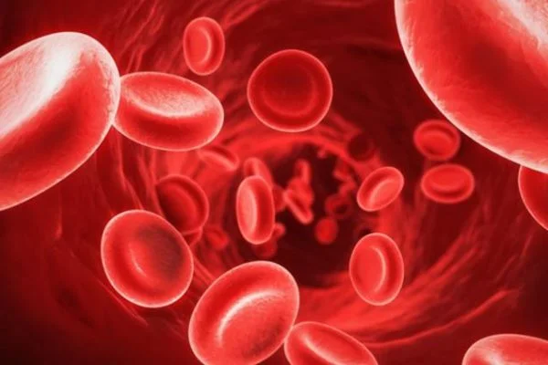 Kansızlık belirtisi nedir?