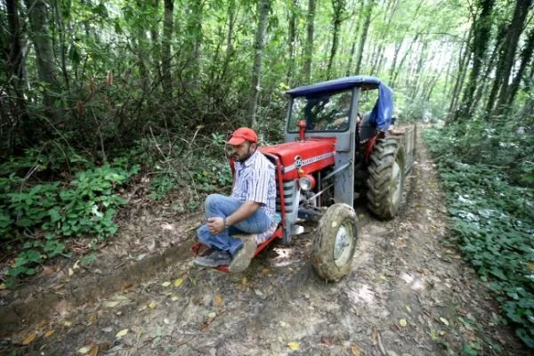 Karadeniz'in 'Dikenli Altını' Kestaneyi toplamak için zorlu yolculuk
