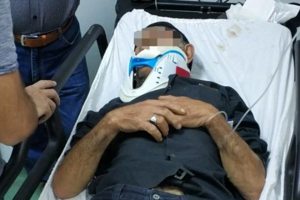 Kestiği ağaç üzerine düşen adam ağır yaralandı