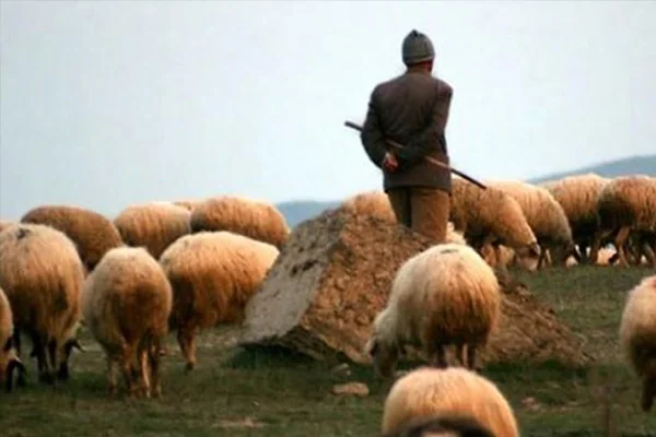 Maaş 5 bin lira ama çalışan yok