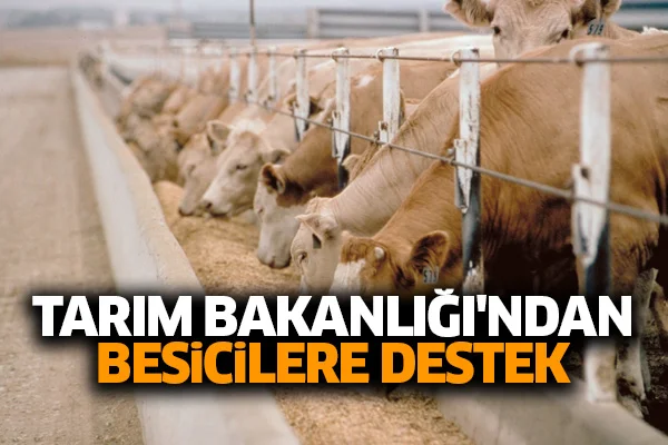 Tarım Bakanlığı'ndan besicilere destek kararı