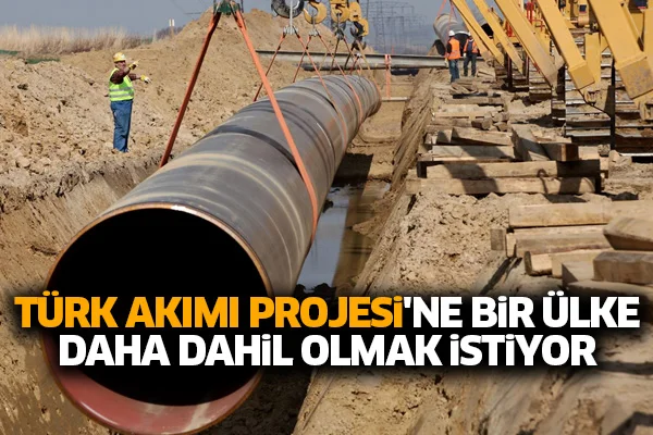 Türk Akımı Projesi'ne bir ülke daha dahil olmak istiyor
