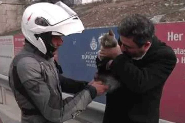 Yaralı sokak hayvanlarının imdadına "Motovet" yetişiyor