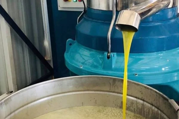 Zeytinyağında beklenen rekolte, 25bin ton