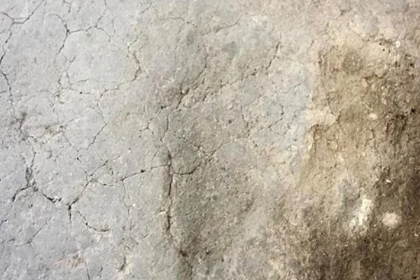 7 bin 500 yıllık 'ayak izleri' bulundu