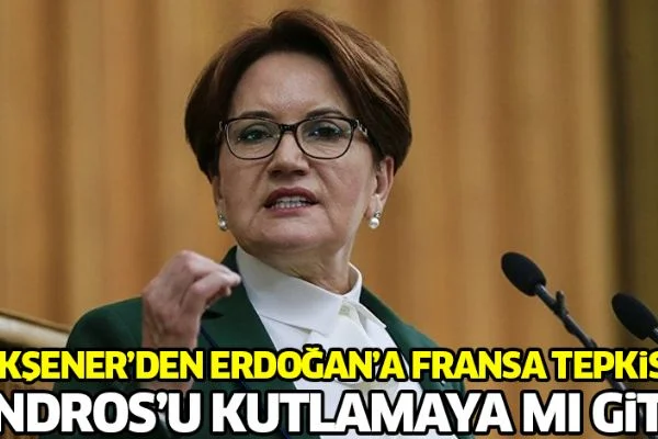 Akşener'den Erdoğan'a Fransa tepkisi