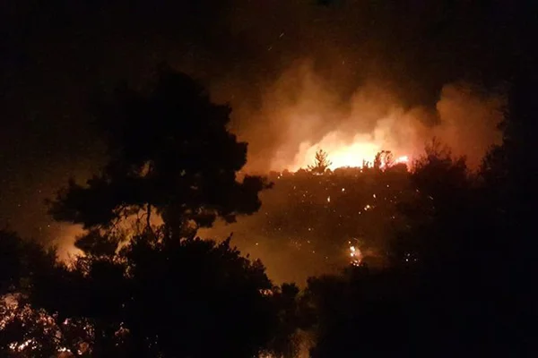 Antalya'da 4 mahalleyi tehdit eden orman yangını