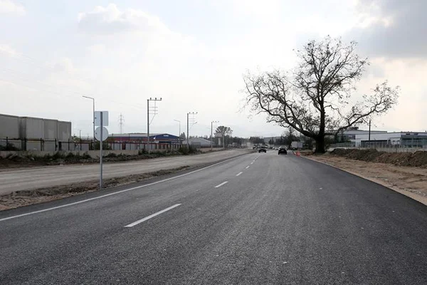 Asırlık çınar ağacı için güzergah değişti
