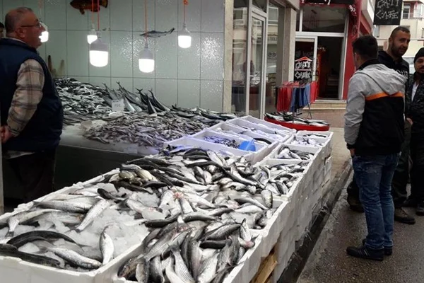 Av sezonu balıkçıları mutlu ediyor