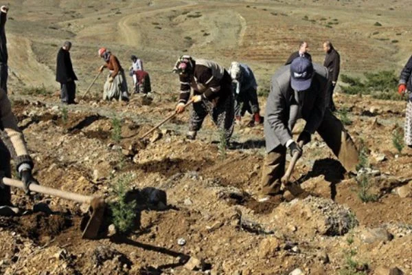 Binlerce 'geçici işci' bu düzenlemnin yapılmasını bekliyor