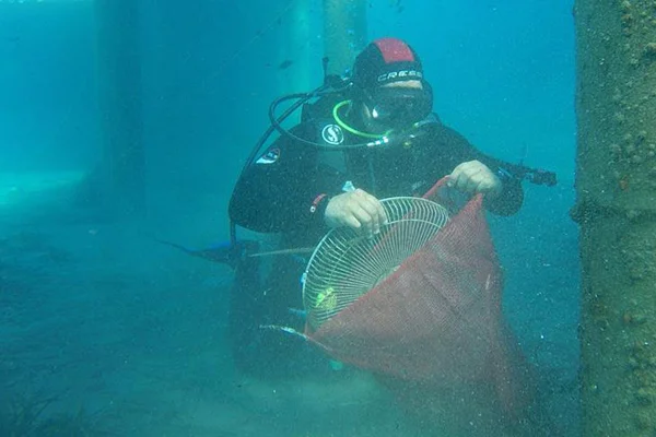 Bodrum'da deniz dibi temizliği