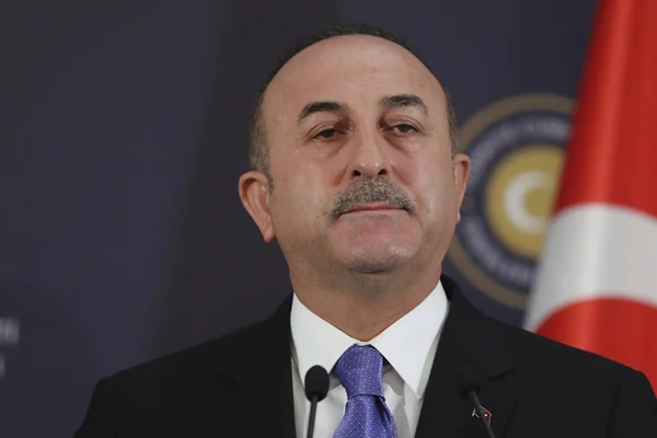 Çavuşoğlu'ndan AİHM'in Demirtaş kararı ile ilgili açıklama